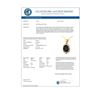 Image 2 : 8.59 CTW Blue Sapphire & Diamond Pendant 14K Yellow Gold - REF-81W8F - 14102