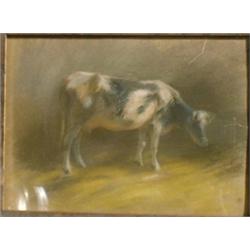 GRAHAM, James Lillie, R.C.A., 1873-1975.  "Study of a Cow".  Pastel.  Pastel....