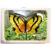 Image 1 : NEW GLASS BUTTERFLY GARDEN STAKE