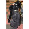 Image 1 : SET OF GOLF CLUBS AND BAG