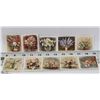 Image 1 : PACK OF 10 FLOWER STUDIES CARDS.