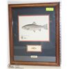 Image 1 : TRIDEUS FIGI RAINBOW TROUT DU 311 BY
