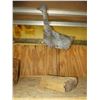 Image 4 : Metal Duck in a Log