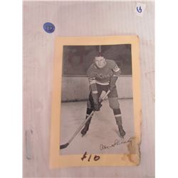 Bee-Hive Hockey Picture-Alex Shibicky