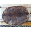 Image 2 : Pair of tanned Beaver Pelts.