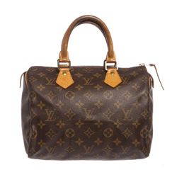 Louis Vuitton Monogram Canvas Leather Speedy 25 cm Bag