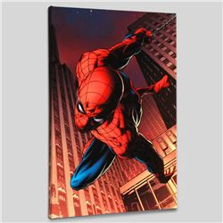 Amazing Spider-Man #641 by Marvel Comics