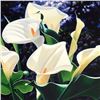 Image 2 : Morning Calla by Davis, Brian