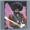 Image 1 : Jimi by Fishwick, Stephen