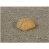 Image 1 : Un fragment de tête en pierre inca du Honduras.  A Hondurian Inca fragment of a stone head. $80/1...