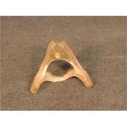 Une sculpture inuit en os de baleine représentant une tête d'ours....