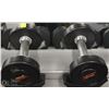 Image 1 : PAIR OF 10LB DUMBBELLS