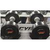 Image 1 : PAIR OF 15LB DUMBBELLS