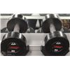 Image 1 : PAIR OF 20LB DUMBBELLS