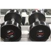 Image 1 : PAIR OF 30LB DUMBBELLS