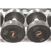Image 1 : PAIR OF 45LB DUMBBELLS