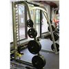 Image 1 : CYBEX POWER RACK MODEL #16121 WITH 21 WEIGHTS(670LBS)
