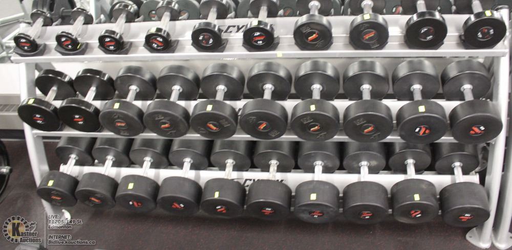 Cybex 3 Tier Dumbbell Rack