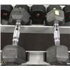 Image 1 : PAIR OF 10LB DUMBBELLS