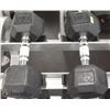 Image 1 : PAIR OF 25LB DUMBBELLS