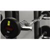 Image 1 : 20 LB CURL BAR