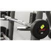 Image 1 : 20 LB CURL BAR