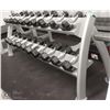 Image 1 : CYBEX DUMBBELL RACK WITH 20 DUMBBELLS