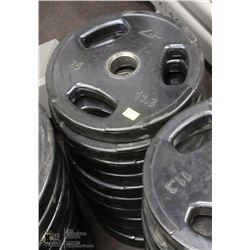 LOT OF TEN 25LB FREE WEIGHTS