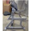 Image 1 : HAMMER STRENGTH PREACHER CURL BENCH