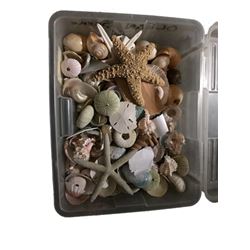 Ocean Scene Set Décor