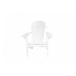 Adirondack Chair