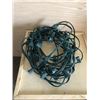 Image 1 : Christmas Lights for Large Bulbs