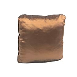 Champagne Gold Pillow