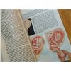 Image 8 : BOOK - SET - DESK ENCYCLOPEDIA PRESENTED BY TIME - 3 BOOK SET