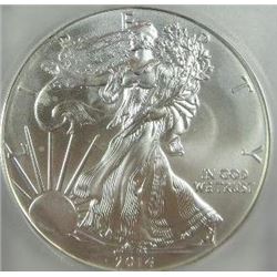 2014 Silver Eagle