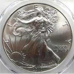 2012 Silver Eagle