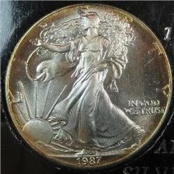 1987 American Silver Eagle