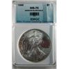 Image 2 : 1999 Silver Eagle