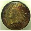 Image 1 : 1901 Indian Cent