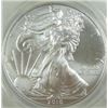 Image 1 : 2010 Silver Eagle