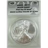 Image 2 : 2010 Silver Eagle
