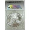 Image 3 : 2010 Silver Eagle