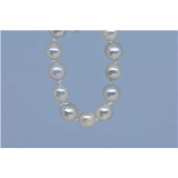 Strand of genuine free formed pearls with a 10kt white gold clasp, 24  in length plus a pair of genu