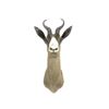 Image 2 : Spring Bok Shoulder Trophy Mount. Height 26"
