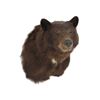 Image 1 : Brown Bear Shoulder Trophy Mount