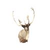 Image 2 : Caribou Shoulder Trophy Mount