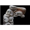 Image 2 : Skulls Group with Snake Carved Handle 156mm in Deer Antler Carving