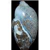 Image 2 : 173 Cts Natural Loose Gemstone173 Cts Natural Fossil Shell Loose Gemstone