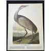Image 2 : c1946 Audubon Print, #261 Sandhill Crane