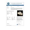 Image 3 : 1.4 CTW H-SI/I Certified Diamond Solitaire Halo Ring 10K Yellow Gold - REF-180W2F - 34560
